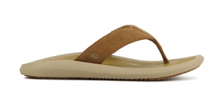 Lezen Minder dan Einde UGG UGG Heren Slippers 1124894 - 4 slippers Bruin | Van Zuilen Mode