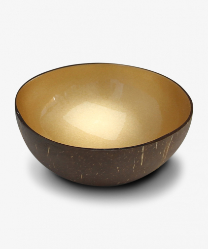 Noya Coconut bowls Geel