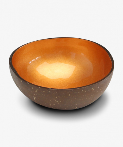 Noya Coconut bowls Geel