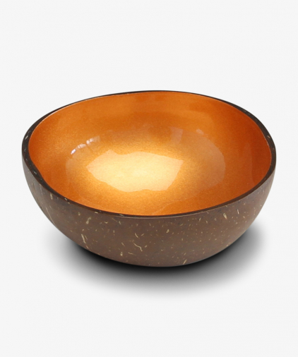 Noya coconut-bowls