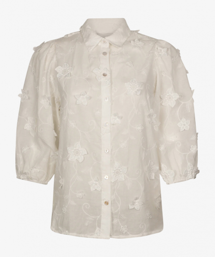 Aaiko lien-co-525