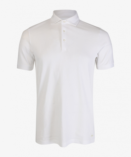 Seven Dials colt-polo