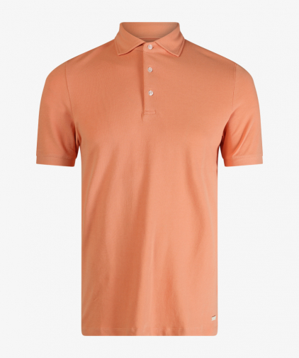 Seven Dials colt-polo