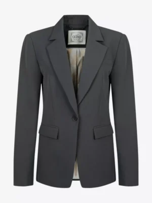 Aaiko Aaiko blazers Monica r pes 345 Groen
