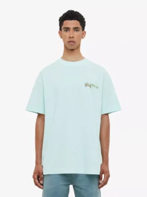 Flaneur Flaneur polo & tshirt F15116 Blauw