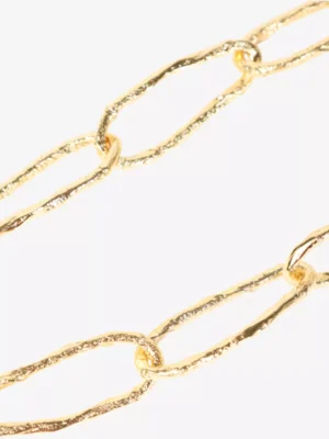 Forte Forte Forte Forte accessoires 12961 sculpture col Goud
