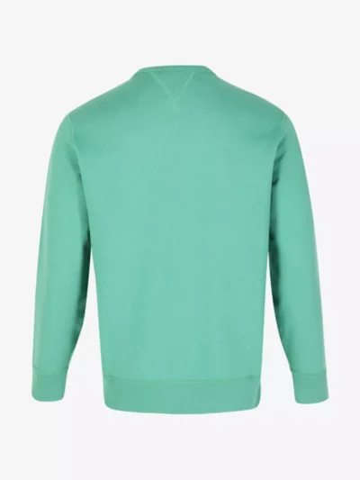 Ralph Lauren Ralph Lauren truien & vesten 710766772 Groen