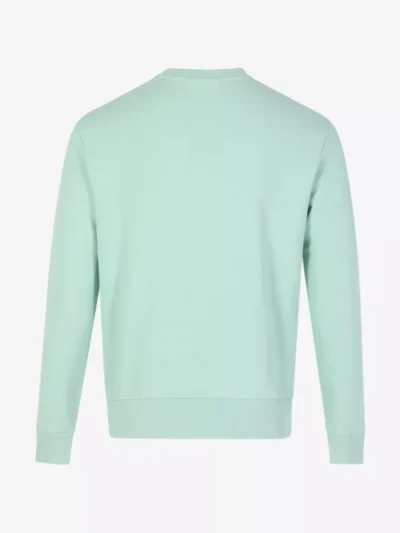 Ralph Lauren Ralph Lauren truien & vesten 710916689 Groen