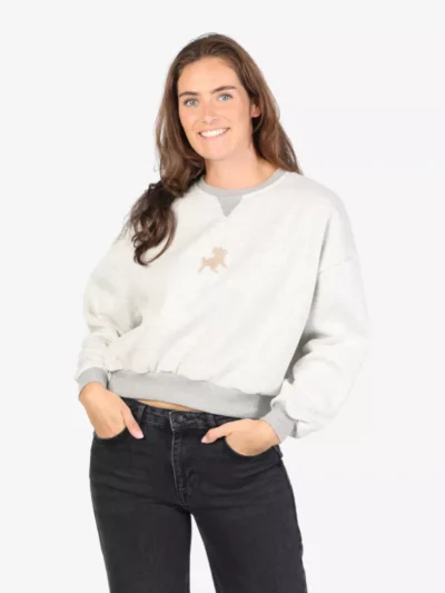 Lois Lois Sweater - Lichtgrijs