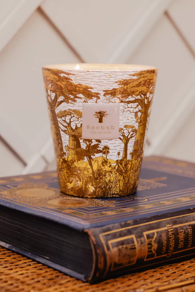 Baobab Geurkaars - Sacred trees bounkani 2 Baobab Baobab Geurkaars - Sacred trees bounkani