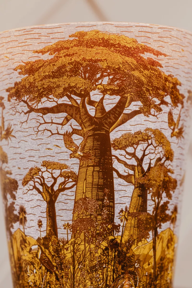Baobab Geurkaars - Sacred trees bounkani 3 Baobab Baobab Geurkaars - Sacred trees bounkani