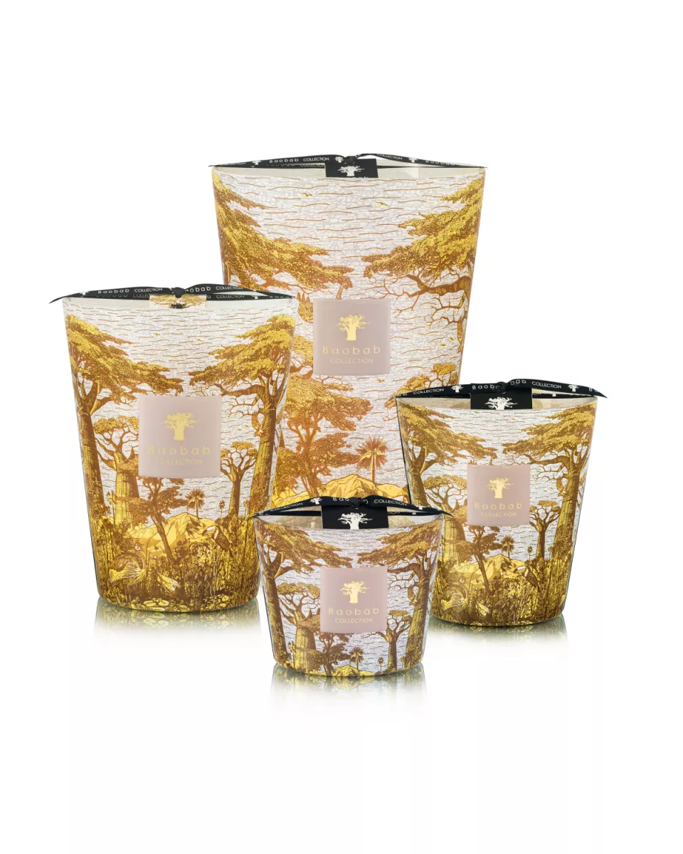 Baobab Geurkaars - Sacred trees bounkani 5 Baobab Baobab Geurkaars - Sacred trees bounkani