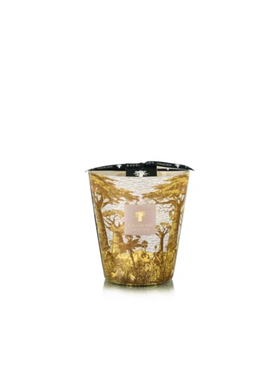 Baobab Baobab Geurkaars - Sacred trees bounkani