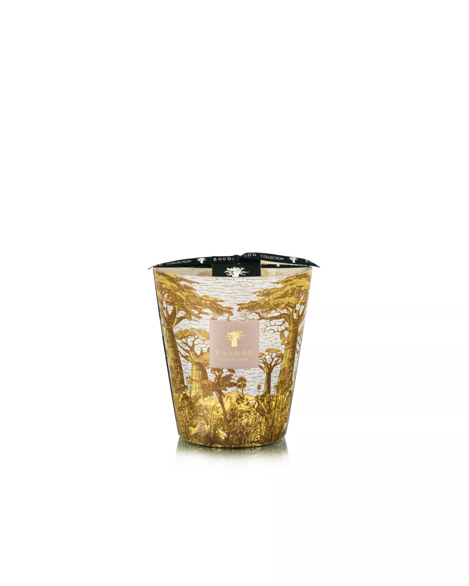 Baobab Geurkaars - Sacred trees bounkani 1 Baobab Baobab Geurkaars - Sacred trees bounkani