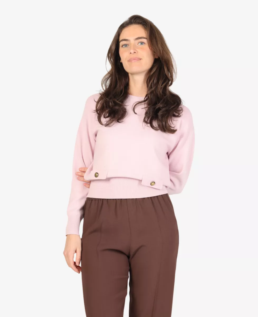 Luisa Cerano Trui - Rose 3 Luisa Cerano Luisa Cerano Trui - Rose