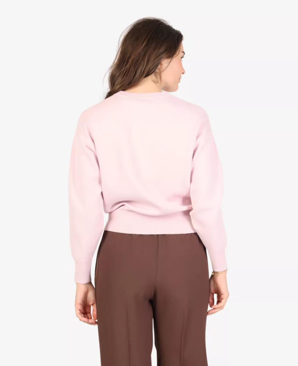 Luisa Cerano Trui - Rose 4 Luisa Cerano Luisa Cerano Trui - Rose
