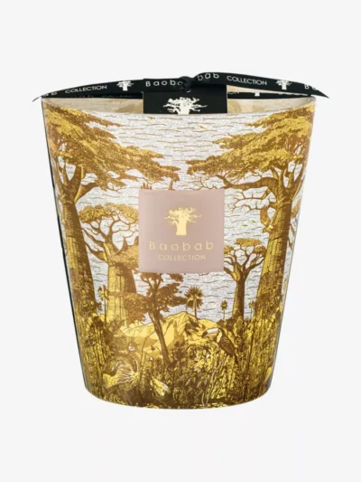 Baobab Baobab Geurkaars – Sacred trees bounkani