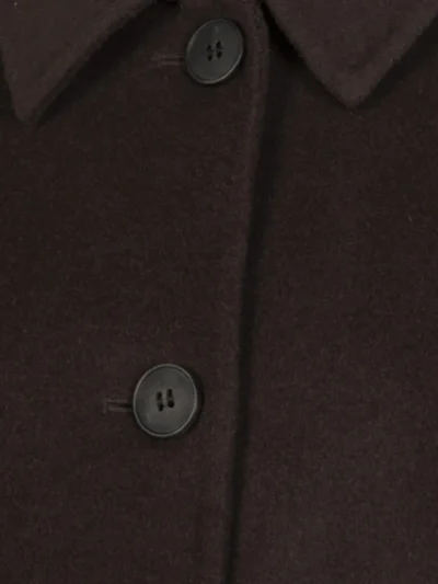 With Black With Black Jack - Dark Brown