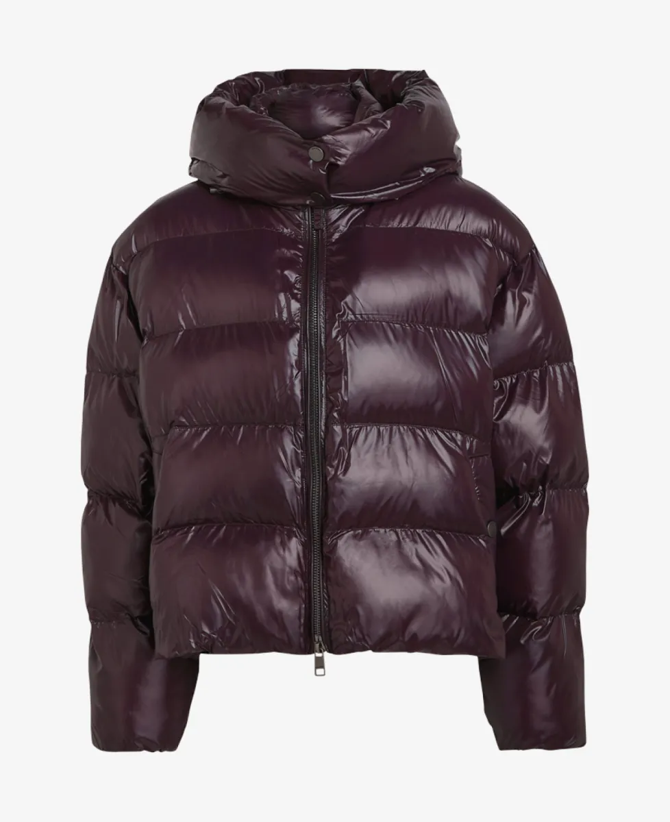 Beaumont Jas - 4590 plum 1 Beaumont Beaumont Jas - 4590 plum